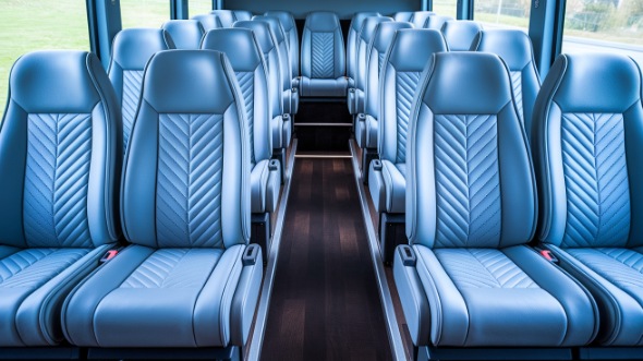 15 passenger minibus interior san marcos