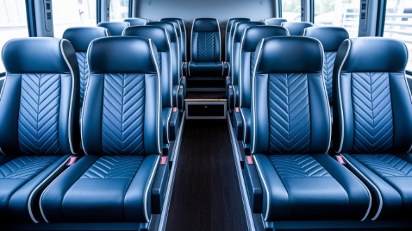 20 passenger minibus rental san marcos
