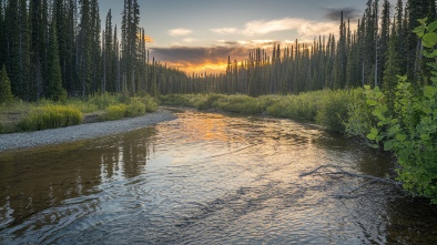 bear creek