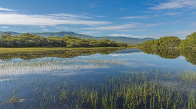 buena vista lagoon ecological reserve