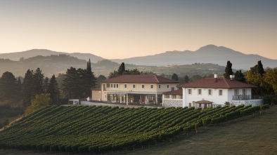 ponte winery