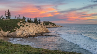 torrey pines state natural reserve